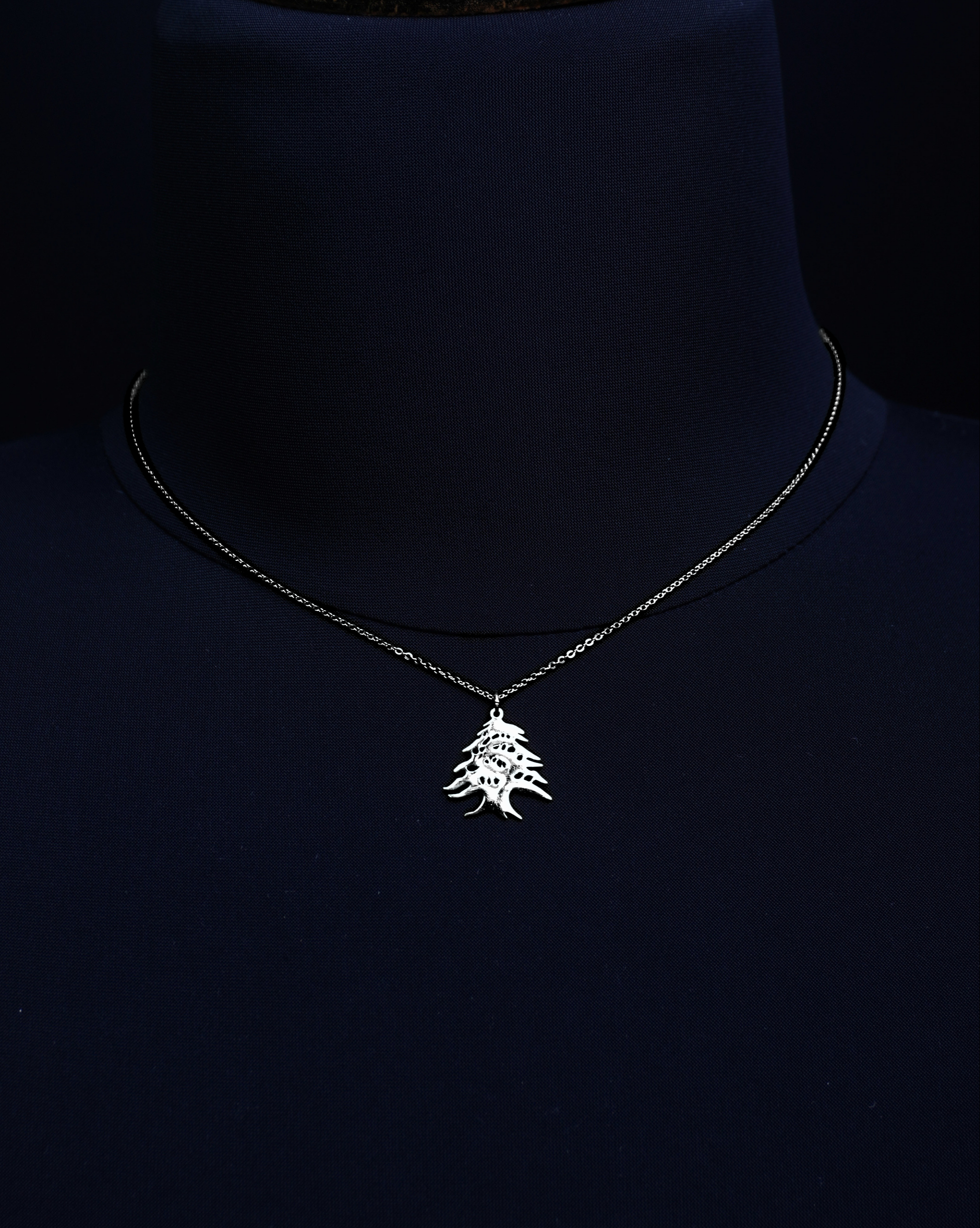 The Cedar Silver